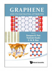 Graphene And Its Fascinating Attributes Hardcover