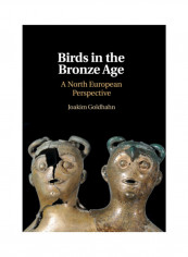 Birds In The Bronze Age: A North European Perspective Hardcover