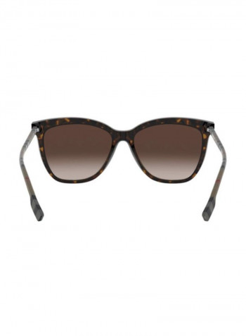 Women's Wayfarer Sunglasses