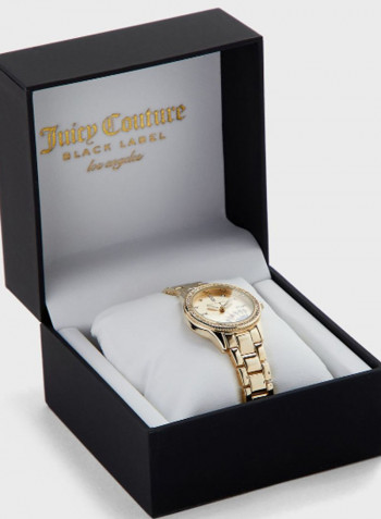 Women's Stainless Steel Analog Watch JC1110CHGB