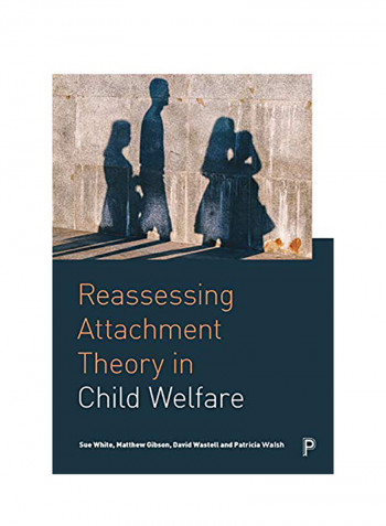Reassessing Attachment Theory in Child Welfare Hardcover