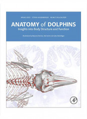 Anatomy Of Dolphins: Insights Into Body Structure And Function Hardcover 1