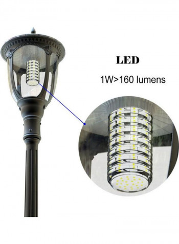 European Style Outdoor Light 2000 Lumens (20W) Black/Clear 16x32inch