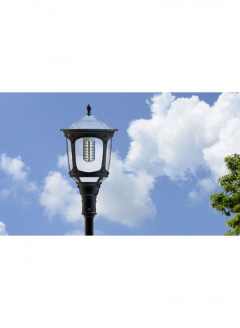 European Style Outdoor Light 2000 Lumens (20W) Black/Clear 16x32inch