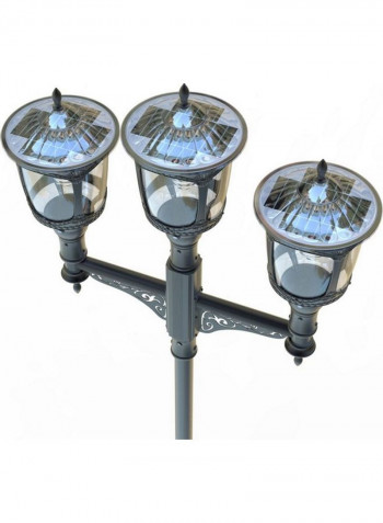 European Style Outdoor Light 2000 Lumens (20W) Black/Clear 16x32inch