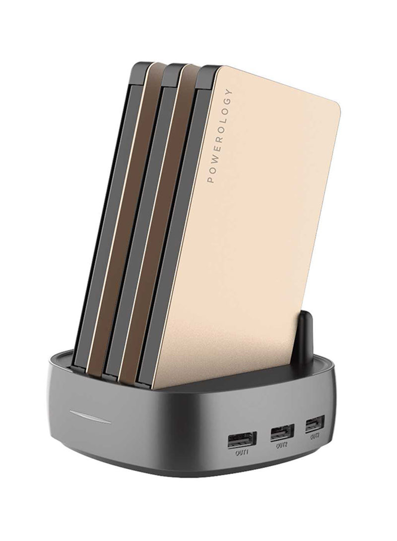 3-In-1 Power Station with Built-In Cable 8000mAh Gold/Grey