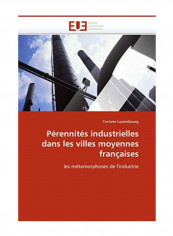 Perennites Industrielles Dans Les Villes Moyennes Francaises Paperback