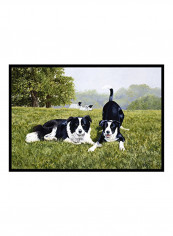 Let's Play Border Collie Printed Doormat Multicolour 18x27x0.25inch