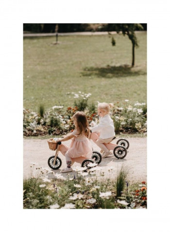 Tiny Tot Plus Balance Tricycle