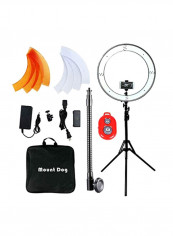 Ring Light White reviews Ring Light White