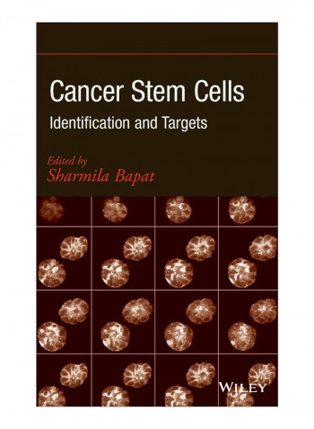 Cancer Stem Cells Hardcover 1st