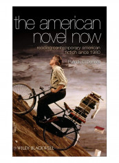American Novel Now Hardcover