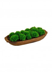 Artificial Moss Arrangement Green/Brown reviews Artificial Moss Arrangement Green/Brown