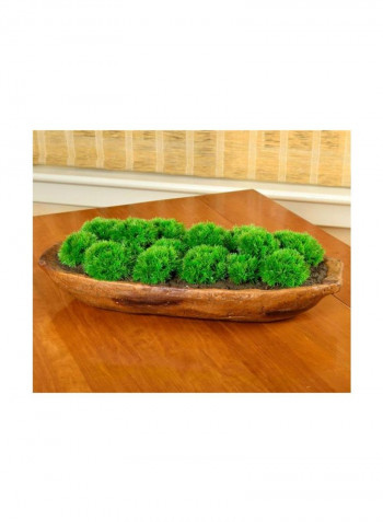 Artificial Moss Arrangement Green/Brown