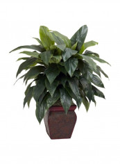 Artificial Cordyline With Vase Green/Brown 30 x 30 x 35inch reviews Artificial Cordyline With Vase Green/Brown 30 x 30 x 35inch