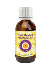Pure Hyssop Essential Oil 100ml reviews Pure Hyssop Essential Oil 100ml