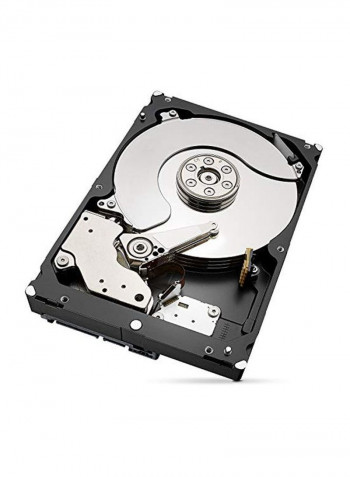 Exos SATA HDD 4TB Silver