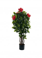 Artificial Hibiscus Flower Tree Red/Green/Brown 4feet reviews Artificial Hibiscus Flower Tree Red/Green/Brown 4feet