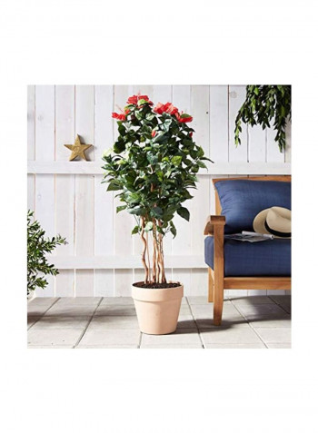 Artificial Hibiscus Flower Tree Red/Green/Brown 4feet