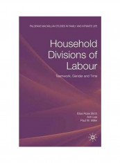 Household Divisions Of Labour: Teamwork, Gender And Time Hardcover