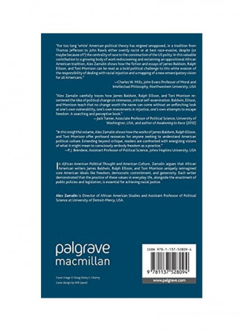 African American Political Thought And American Culture Hardcover