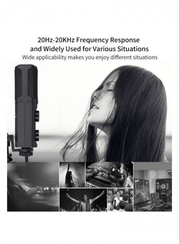 Professional Condenser Cardioid Microphone LU-D8123 Black