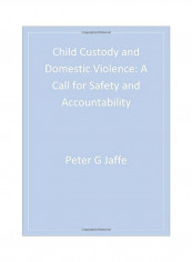 Child Custody And Domestic Violence: A Call For Safety And Accountability Hardcover