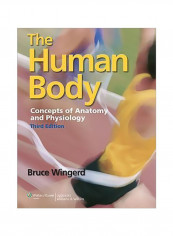 The Human Body: Concepts Of Anatomy And Physiology Paperback reviews The Human Body: Concepts Of Anatomy And Physiology Paperback