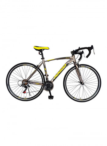 Swifter Road Bike 48cm