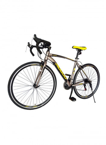 Swifter Road Bike 48cm