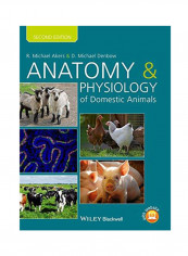 Anatomy and Physiology of Domestic Animals Hardcover reviews Anatomy and Physiology of Domestic Animals Hardcover