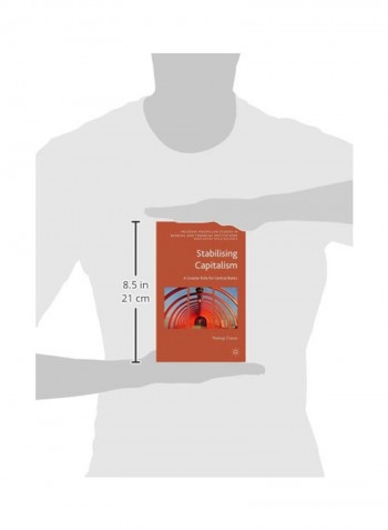 Stabilising Capitalism: A Greater Role For Central Banks Hardcover