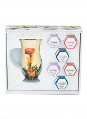 Flowering Tea Gift Set With One Glass Cup 30g reviews Flowering Tea Gift Set With One Glass Cup 30g