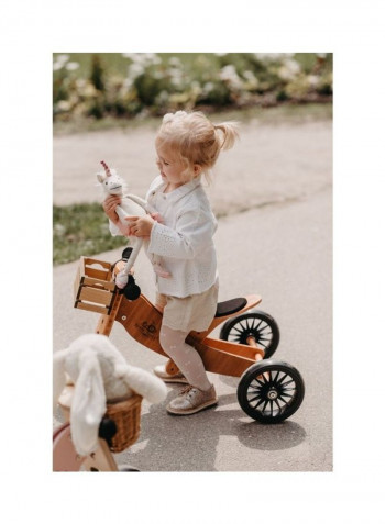 Tiny Tot Plus Balance Tricycle