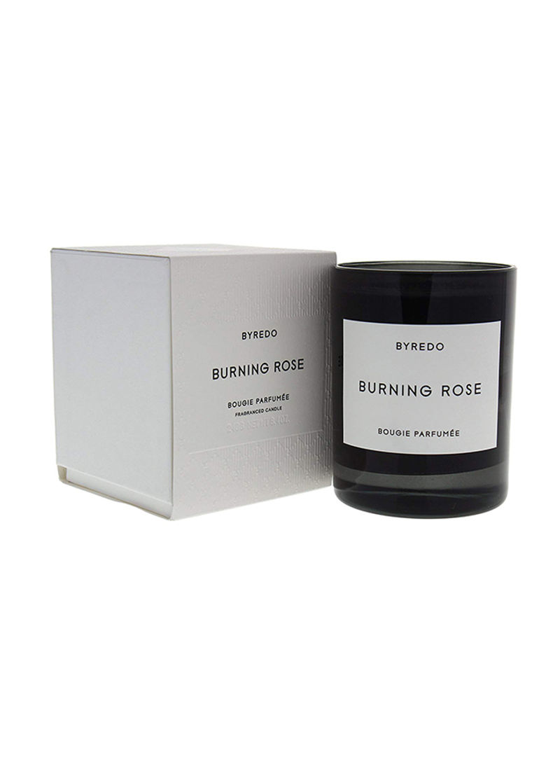 Burning Rose Scented Candle Black 8.4ounce