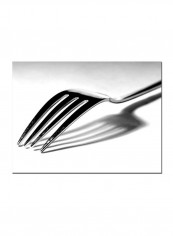 Fork Canvas Wall Art Multicolour 26 x 32inch