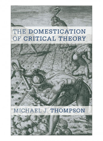 The Domestication Of Critical Theory Hardcover