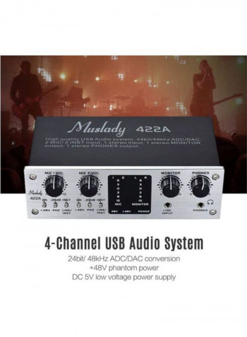 USB Audio System