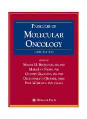 Principles Of Molecular Oncology Hardcover English by Miguel H. Bronchud