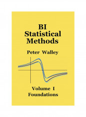 BI Statistical Methods: Foundations Hardcover