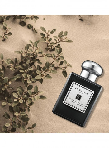 Tuberose Angelica Intense Cologne 50ml