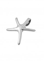 925 Sterling Silver Starfish Shape Pendant reviews 925 Sterling Silver Starfish Shape Pendant