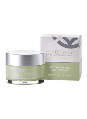 Restructuring Night Cream 1.7ounce