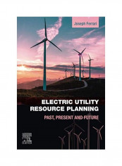Electric Utility Resource Planning Paperback English by Joe Ferrari