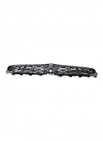 Front Kidney Grill Fit