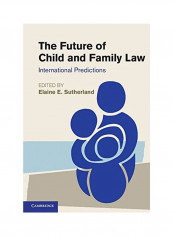 The Future Of Child And Family Law: International Predictions Hardcover