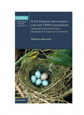 Wto Dispute Settlement And The Trips Agreement Hardcover