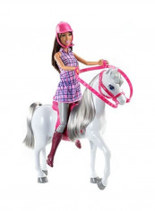 Barbie Doll And Horse