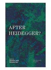 After Heidegger? Hardcover