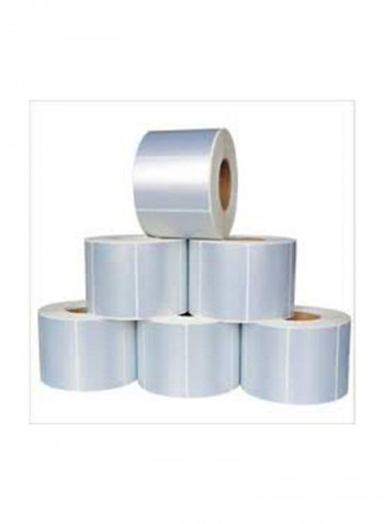 Pack Of 6 Synthetic Labels Roll Clear